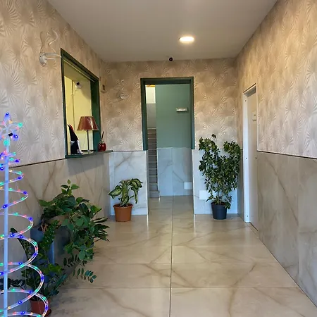 None Holiday Hotel 3*